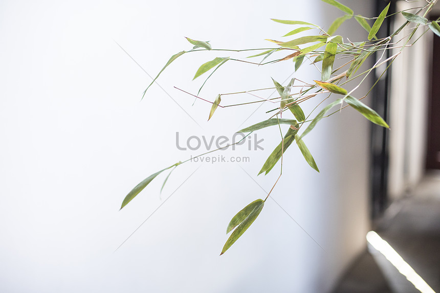 中國元素的植物素材圖片素材 Jpg圖片尺寸67 4480px 高清圖片 Zh Lovepik Com