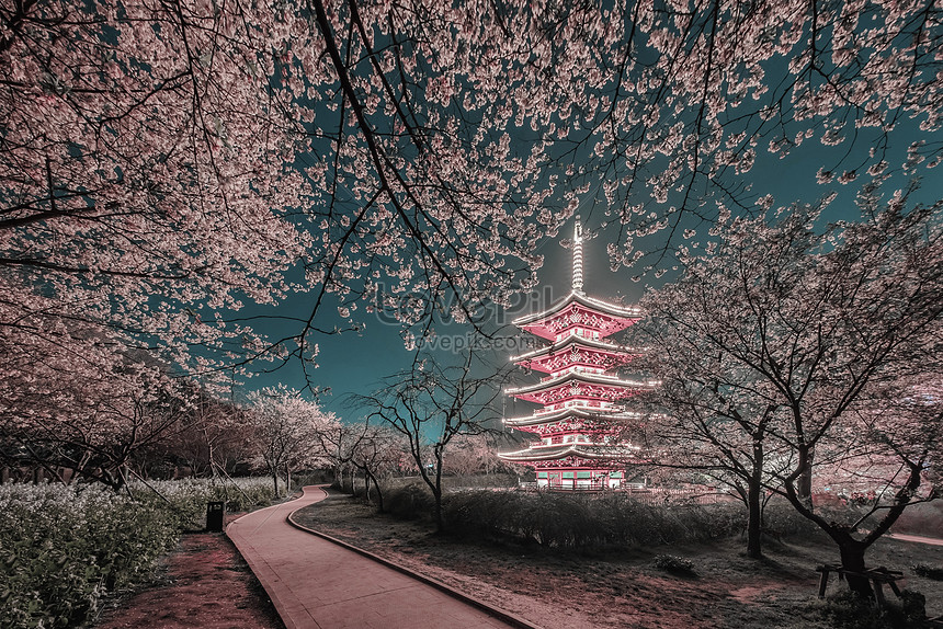 Sakura Garden In East Lake Wuhan Photo Image Picture Free Download Lovepik Com