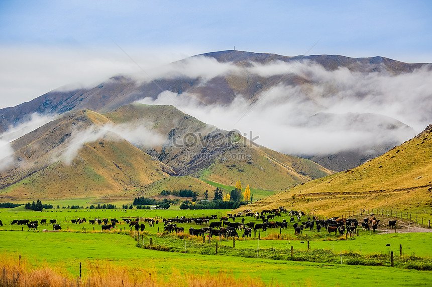 Pemandangan New Zealand Gambar Unduh Gratis Imej