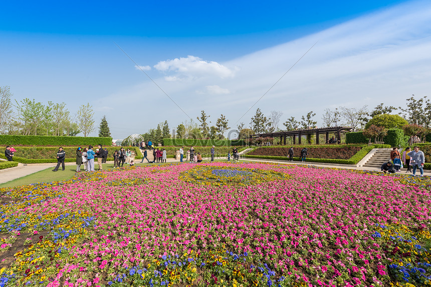 Pemandangan Taman Expo Bunga Anhui Yinzhou Gambar Unduh