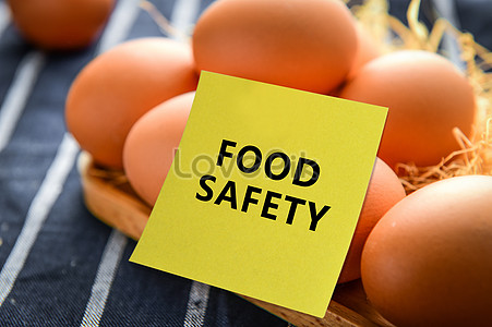 Food Safety Poster Images, HD Pictures and Stock Photos For Free ...