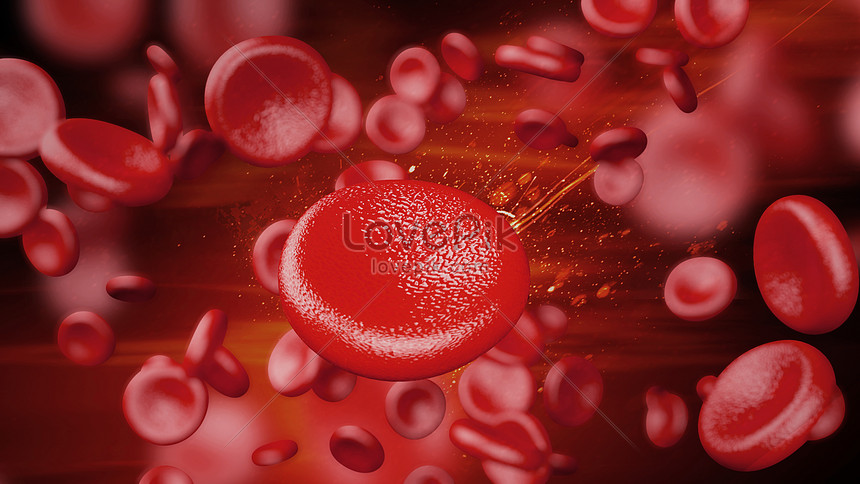 Blood Red Blood Cell Background Download Free | Banner Background Image on  Lovepik | 500890105