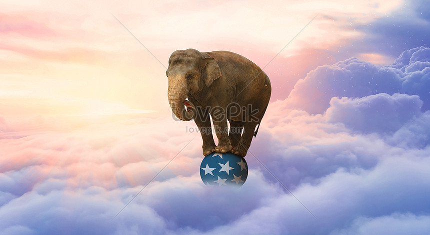 Elephants in the sky