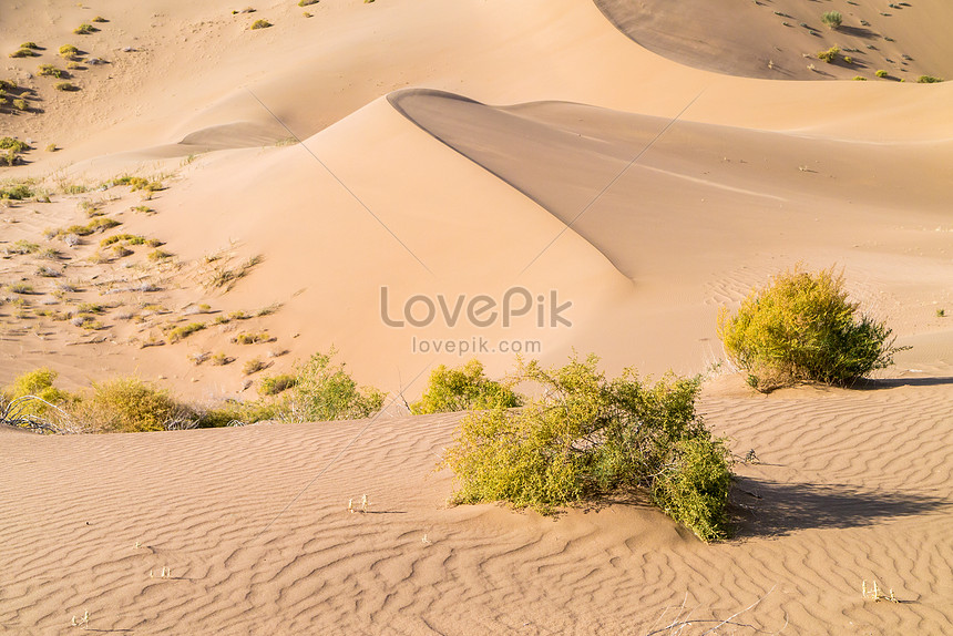 صحراء الصحراء شروق الشمس Hd تحميل مجاني للصور الفوتوغرافية Sa Lovepik Com الصفحة