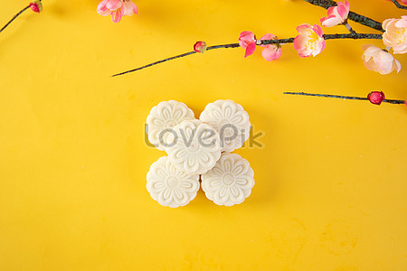 Snow skin mooncake photo image_picture free download 500987017_lovepik.com