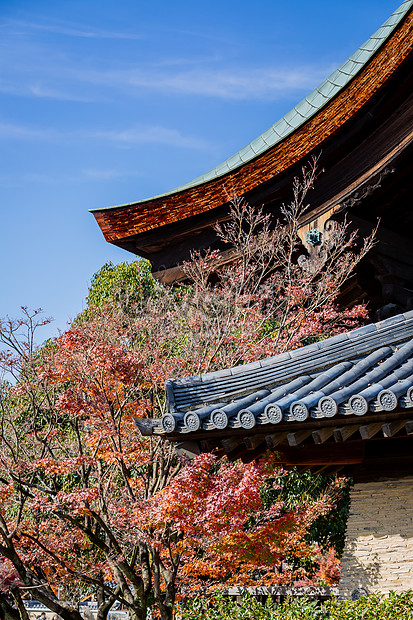 日本京都天龍寺風景圖片素材 Jpg圖片尺寸3277 4915px 高清圖片 Zh Lovepik Com