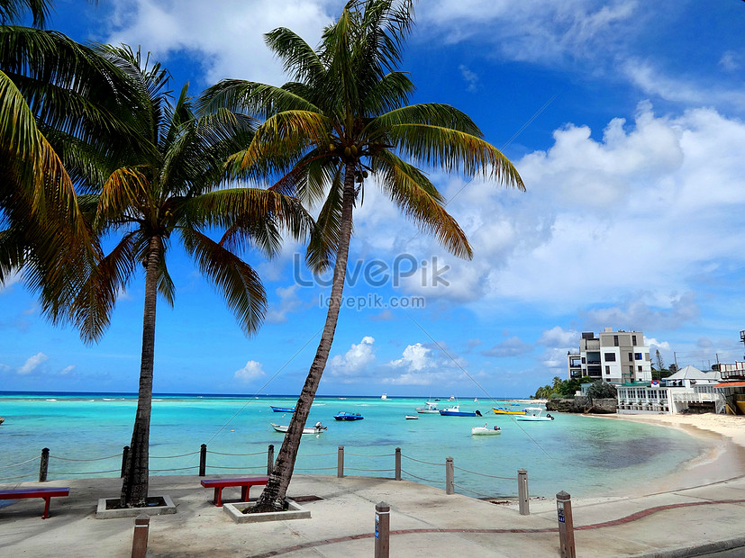 Pemandangan Pantai Yang Indah Di Barbados Dan Pemandangan