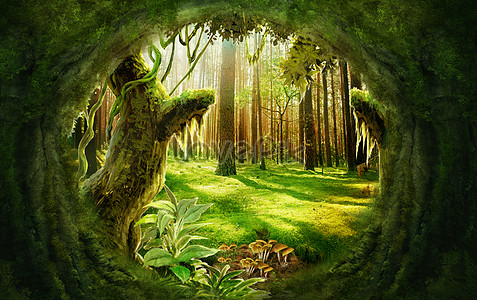 54000 Big Forests Hd Photos Free Download Lovepik Com