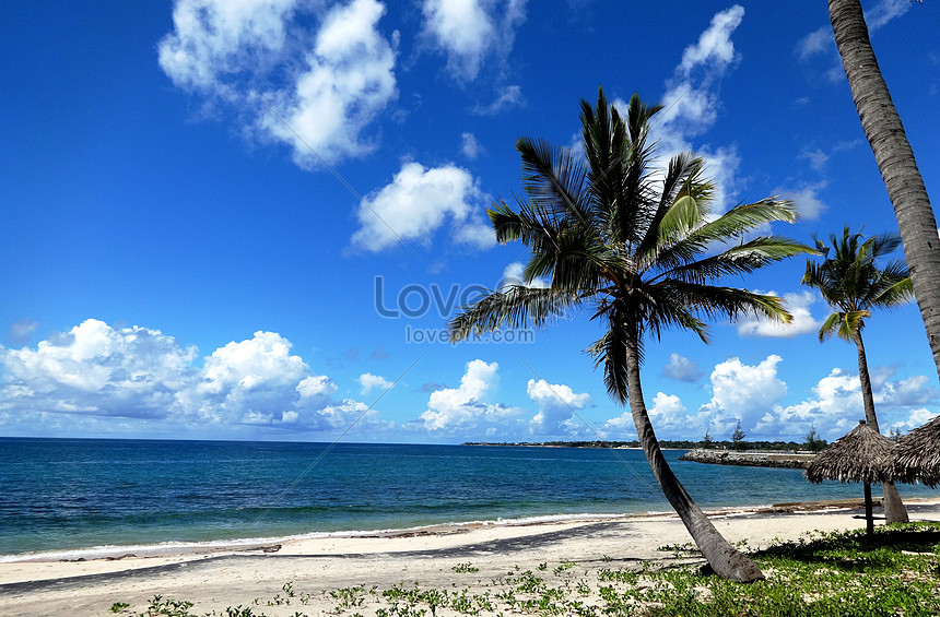 Selat Mozambik Langit Biru Awan Putih Pokok Kelapa Laut Laut Gambar Unduh Gratis Imej 501076891 Format Jpg My Lovepik Com