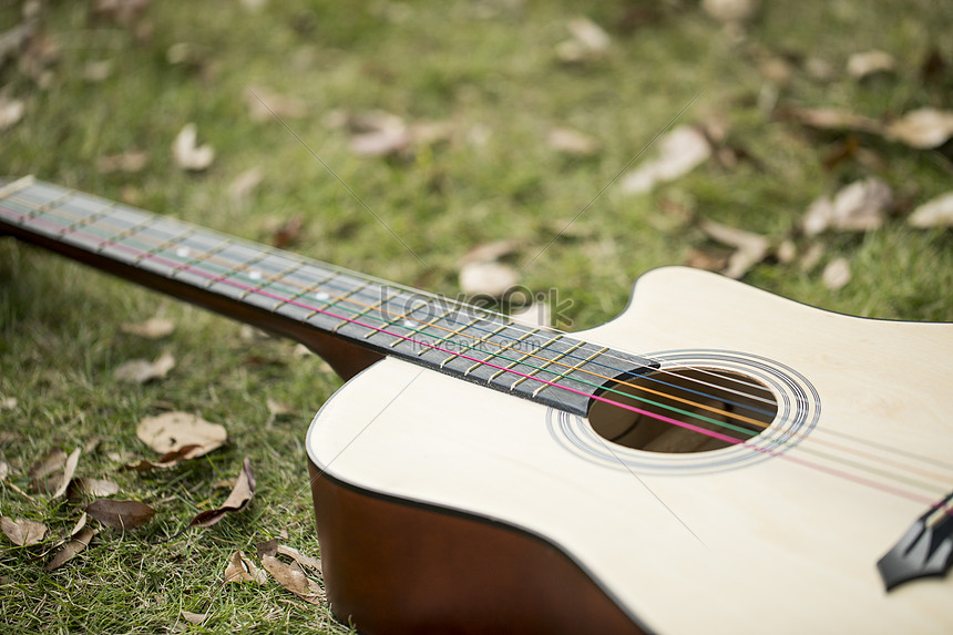 Ảnh Trên Bãi Cỏ Cây Đàn Guitar Tải Xuống Miễn Phí, Ảnh Gỗ Guitar Acoustic  Đẹp Trên Lovepik