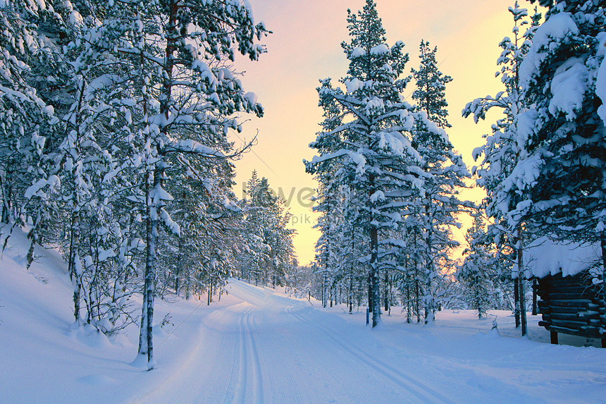 Winter snow scene creative image_picture free download 501110338 ...