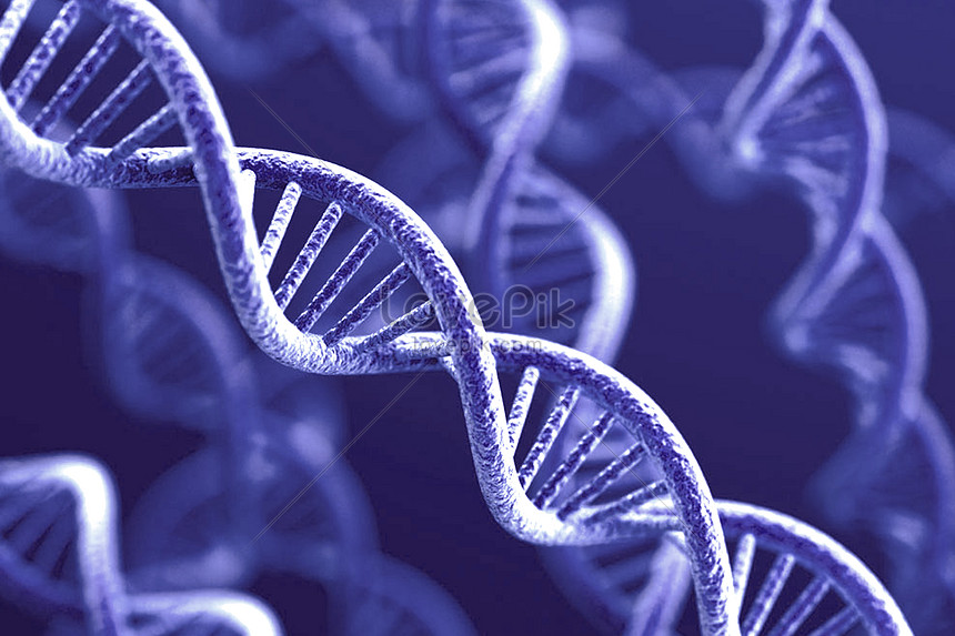 Cadena De Genes De Adn | HD Creativo antecedentes imagen descargar - Lovepik