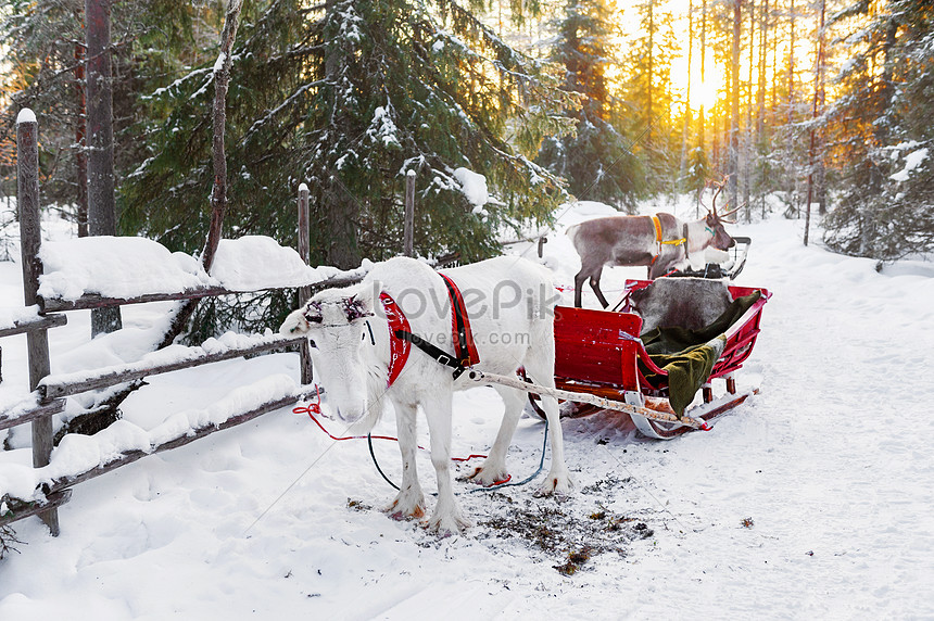 北欧フィンランドのロヴァニエミクリスマス老人村トナカイそりイメージ 写真 Id Prf画像フォーマットjpg Jp Lovepik Com