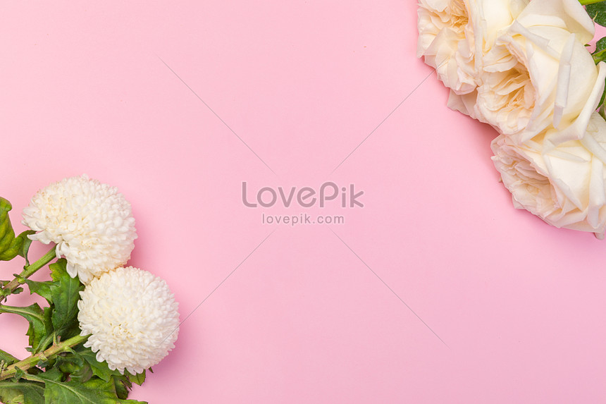 Fondo De Flores Del Dia De San Valentin Chino Descarga Gratuita Hd Imagen De Fotografia Lovepik