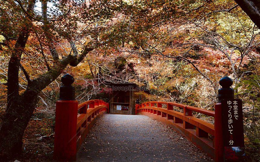 京都紅葉紅色拱橋圖片素材 Jpg圖片尺寸4578 2856px 高清圖片 Zh Lovepik Com