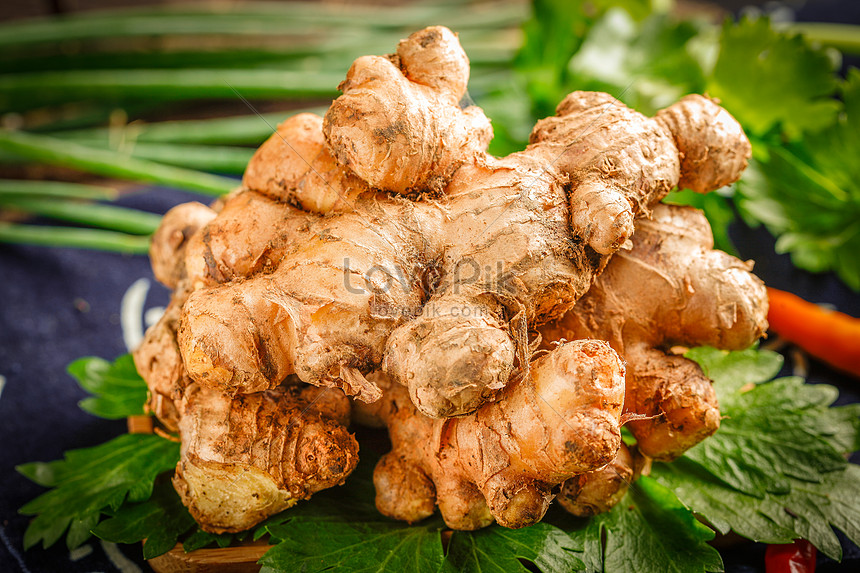 Red Ginger Photo Image Picture Free Download Lovepik Com