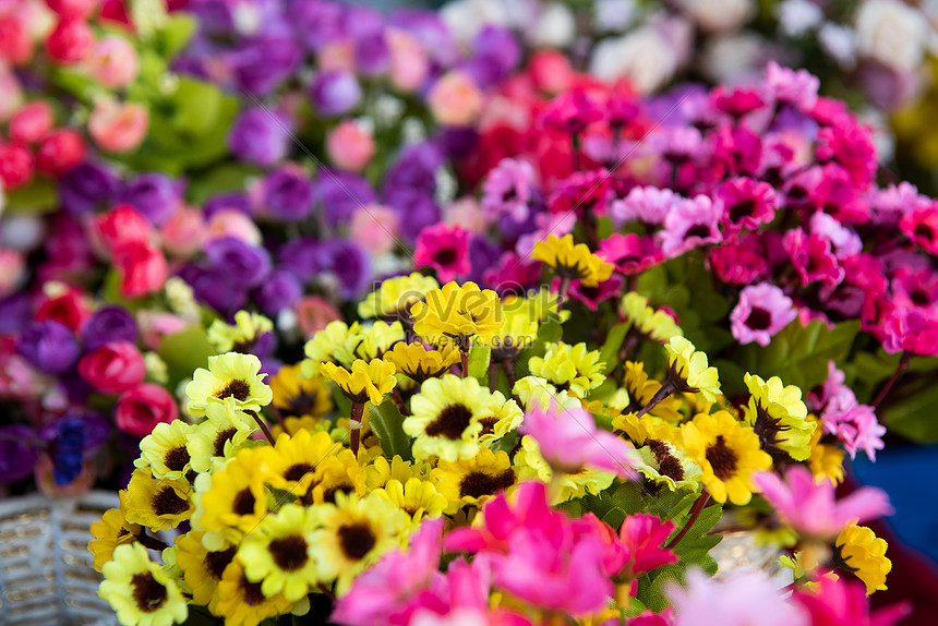 Bulaklak Larawan Numero Ng Larawan Format Ng Larawan Jpg Ph Lovepik Com