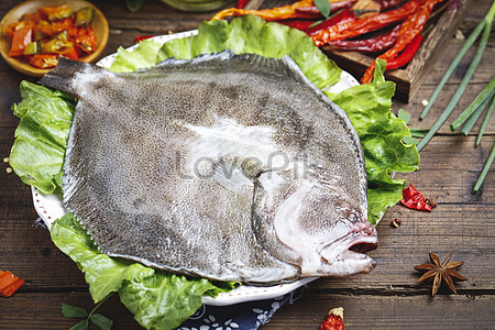 17000 Domestic Dobby Fish Hd Photos Free Download Lovepik Com