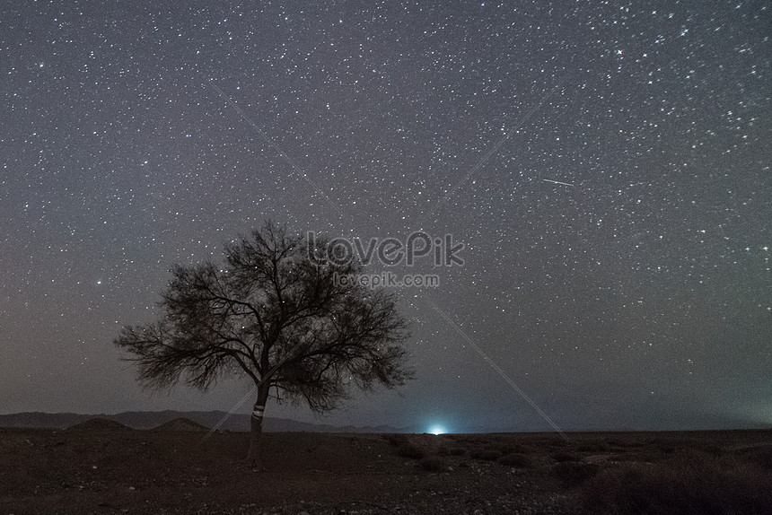 星空樹木風景夜景圖片素材 Jpg圖片尺寸5216 3481px 高清圖片 Zh Lovepik Com