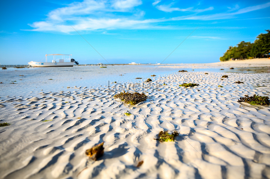 Low Tide Beach Photo Image Picture Free Download Lovepik Com