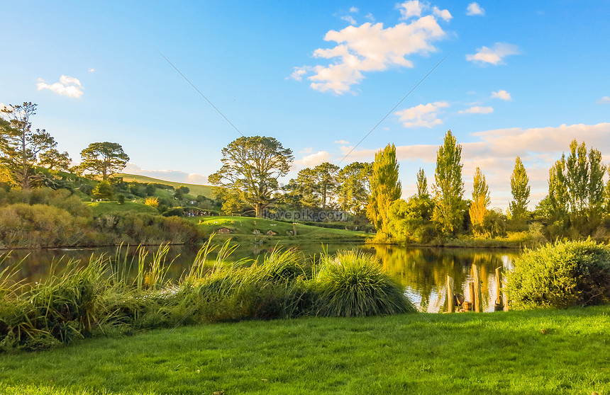 Auckland, New Zealand Scenery Picture And HD Photos | Free Download On ...