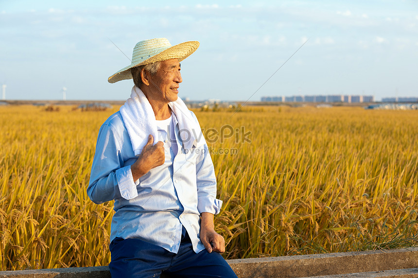 Rest farmers. Фермер отдыхает с соломкой в зубах. Фермер отдыхает с соломкой в зубах арт.