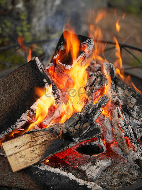 Fire In The Fire Pit Picture And HD Photos | Free Download On Lovepik
