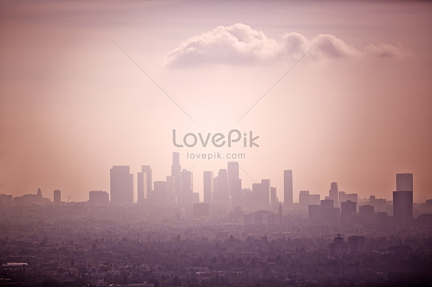 100 Los Angeles Wallpapers Download Free Images On Unsplash