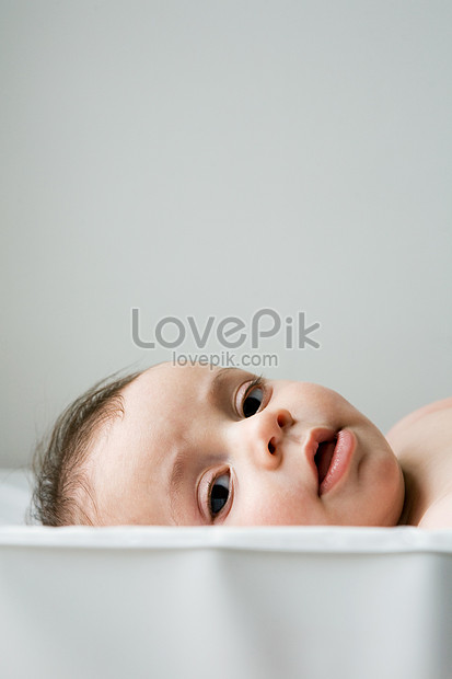 Portrait Of A Baby Boy Picture And HD Photos | Free Download On Lovepik