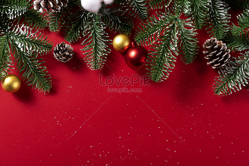 Featured image of post Christmas Jpg Images Free Download : Get your christmas designs off to a great start with our library of over 200 free holiday fonts, backgrounds, clip art, images, borders and so much more.