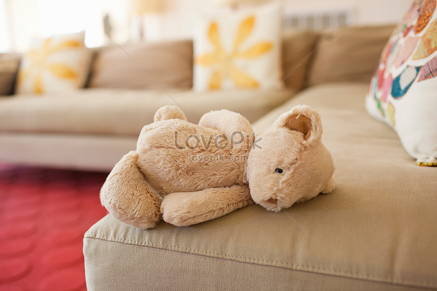 sofa teddy bear