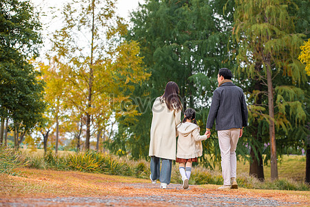 A family walk hand in hand in the park photo image_picture free ...