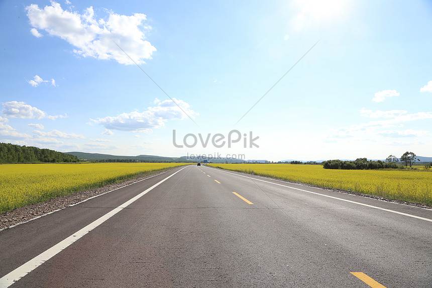 Genhe Steppe Flower Sea Highway Photo Image Picture Free Download Lovepik Com