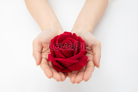 Hold Flowers Images, HD Pictures For Free Vectors Download - Lovepik.com