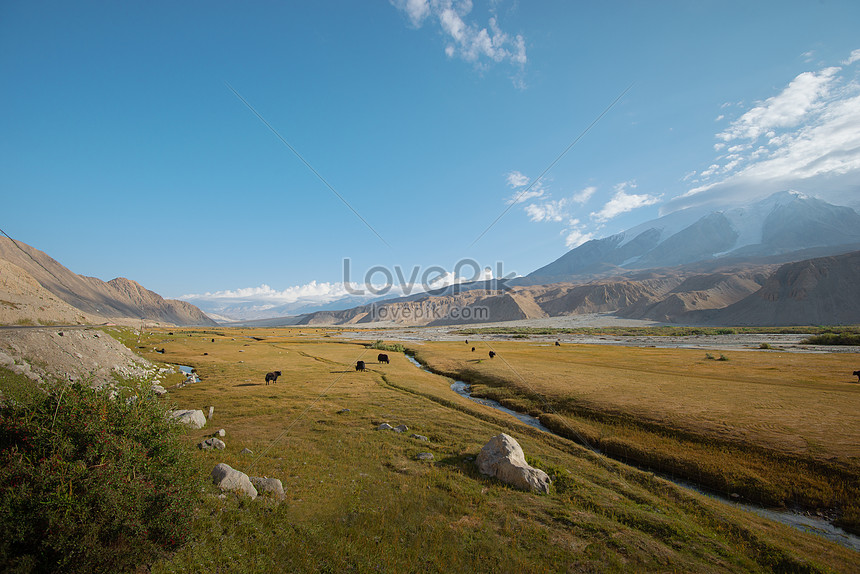 Xinjiang Alpine Grassland Pastures Natural Scenery Picture And Hd