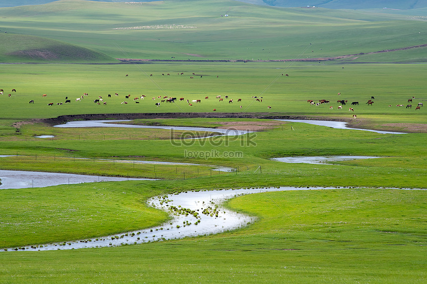 Hulunbuir Prairie Scenery Picture And HD Photos | Free Download On Lovepik