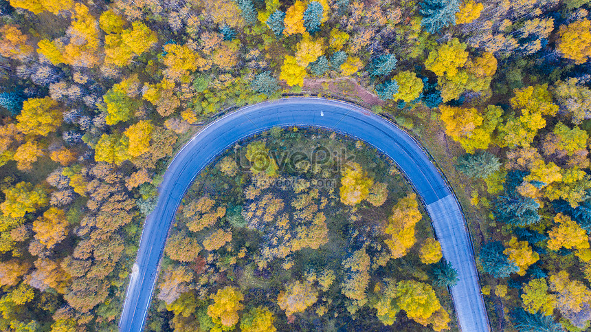 Autumn Scenery Of Qinghai Kanbula Forest Park Picture And HD Photos ...