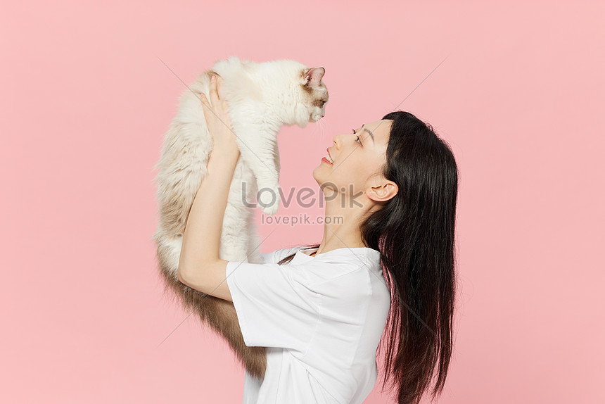 Pemilik Kecantikan Dan Kesayangan Kucing Haiwan Kesayangan Gambar Unduh Gratis Imej 501773211 Format Jpg My Lovepik Com