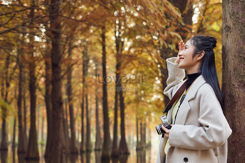 Female College Students Take Photos In Autumn Park Picture And HD ...