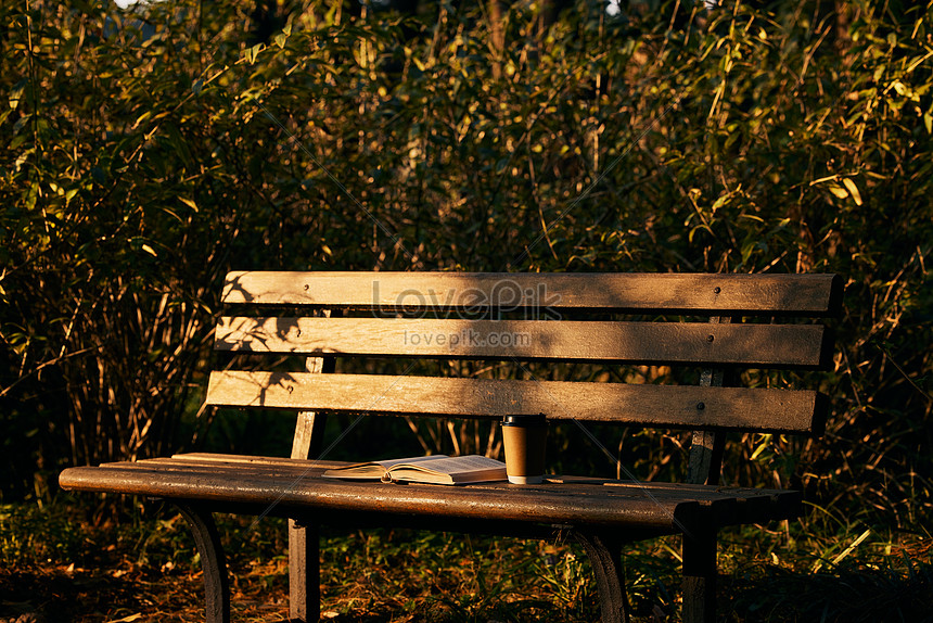 Benches In The Park At Sunset Picture And HD Photos | Free Download On  Lovepik