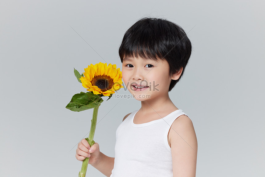 Sosteniendo El Lindo Niño Del Girasol Foto | Descarga Gratuita HD Imagen de  Foto - Lovepik