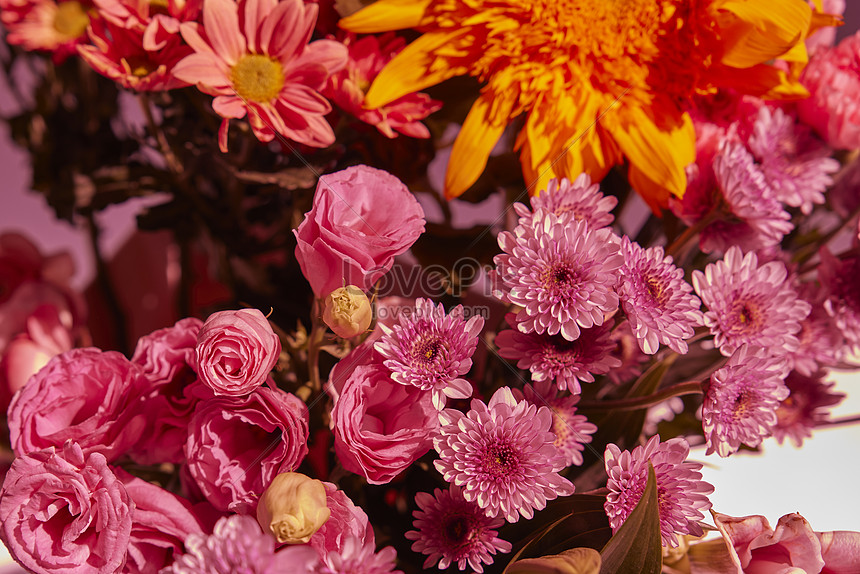 Hãy chiêm ngưỡng vẻ đẹp nổi bật của hoa ly đỏ, với sắc đỏ rực rỡ và những cánh hoa mềm mại dịu dàng. Chắc chắn bạn sẽ bị quyến rũ bởi sự nổi bật và đậm chất hoa ly đầy quyến rũ này.
