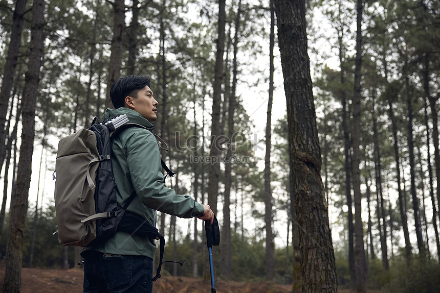 Young Man Hiking In The Woods Picture And HD Photos | Free Download On ...