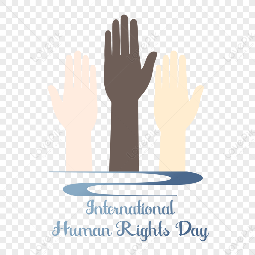 2024 International Human Rights Law Summer School | OHRH
