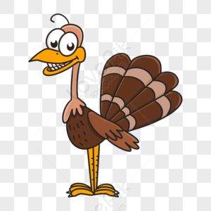 Cartoon Turkey Images, HD Pictures For Free Vectors Download 