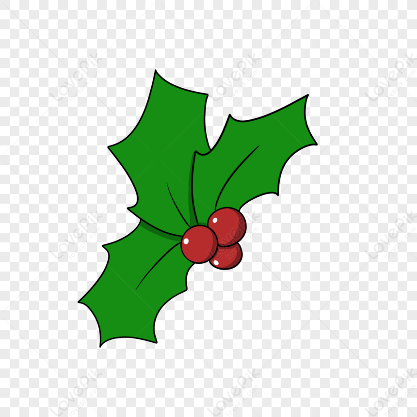 Decoración De Navidad Dibujos Animados Navidad Decorativa Holly Holly, Clip  Art Png, Decoración De Navidad Png, Dibujado A Mano Png PNG Imágenes Gratis  - Lovepik