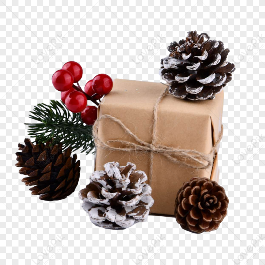 https://img.lovepik.com/png/20210817/lovepik-christmas-gift-box-and-pine-fruit-png-image_6536971.jpg_wh860.png