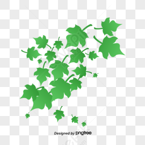 Cartoon Leaves Illustration, Spring, Leaves, Plant PNG White ...