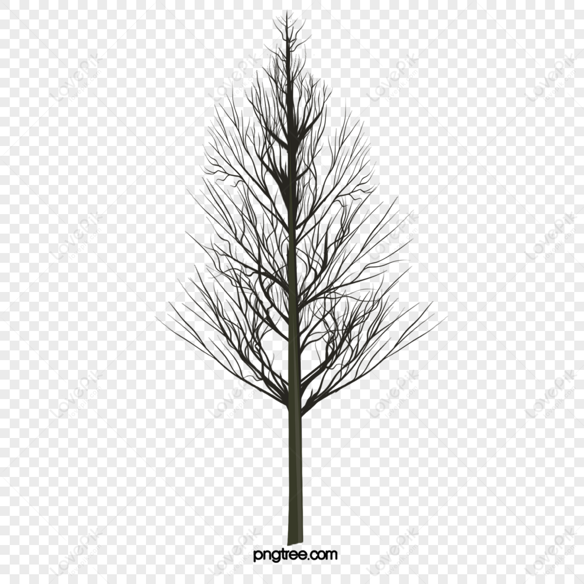 Dark Trees PNG Images With Transparent Background | Free Download On ...