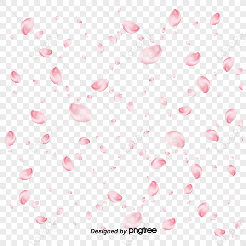 Floating Petals,real Flower,peach,pink Petals PNG Hd Transparent Image ...